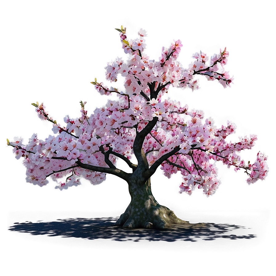 Sakura Tree In Vibrant Colors Png Gum