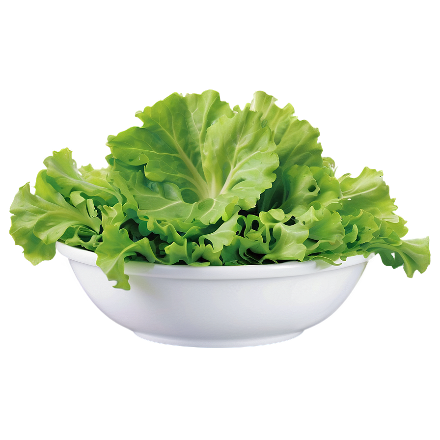 Salad Bowl Lettuce Png 44