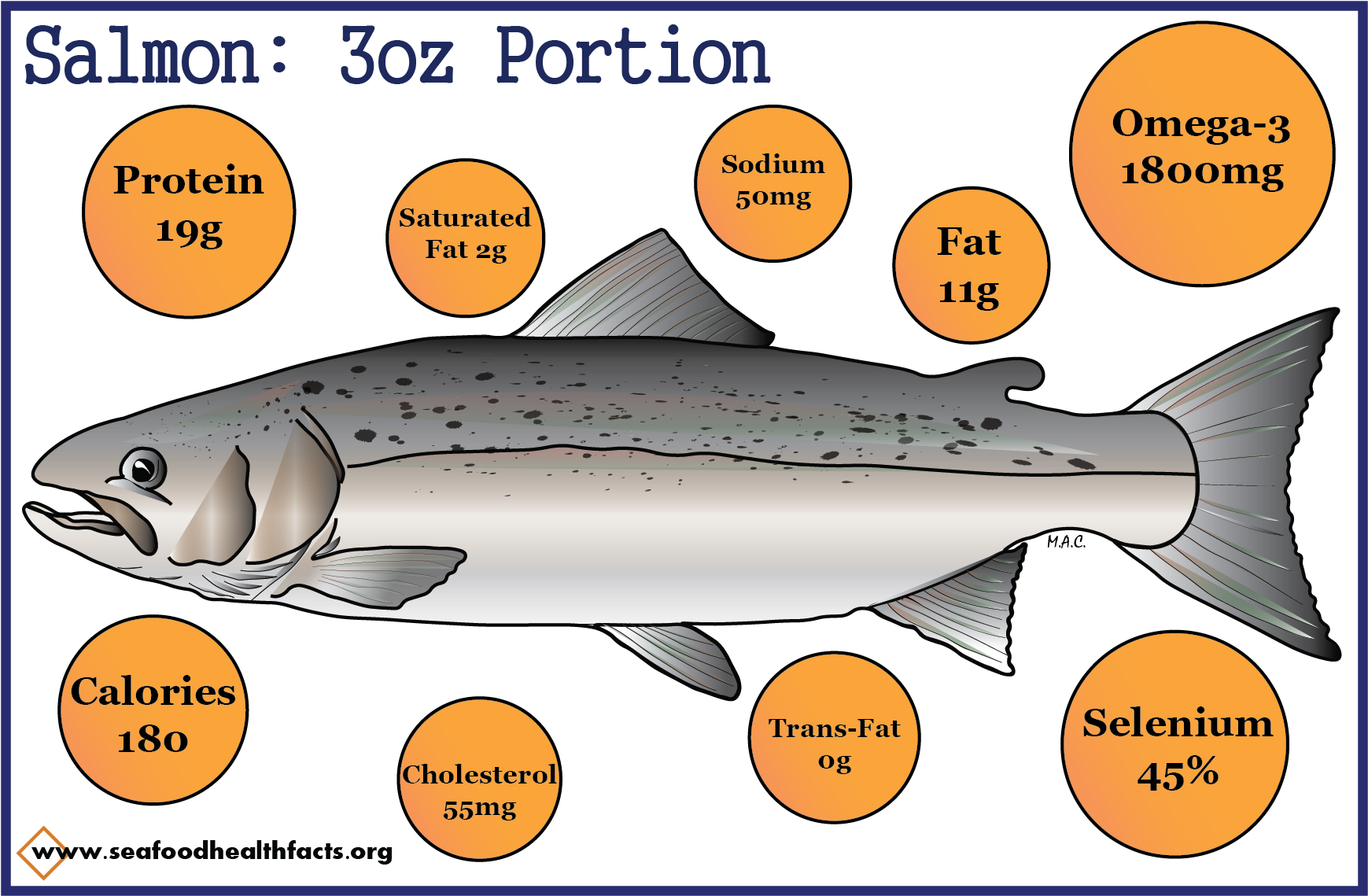 Salmon Nutritional Value3oz Portion