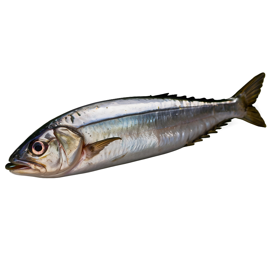 Salted Sardine Png Kjm