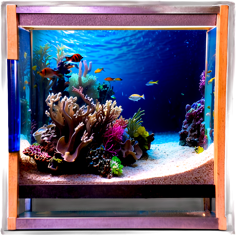 Saltwater Aquarium Png Oos84