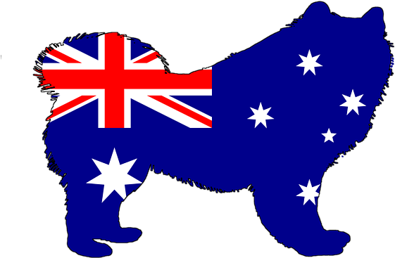 Samoyed Dog Australia Flag Silhouette