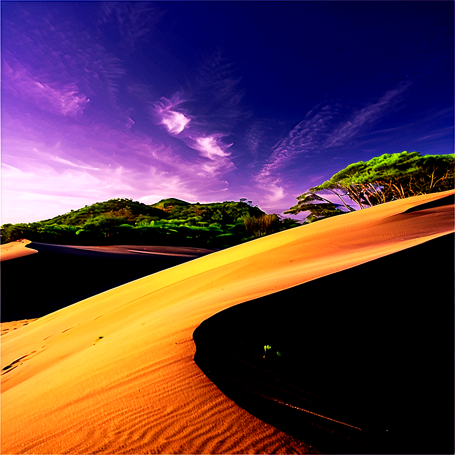 Sand Dunes Nature Reserve Png 06292024