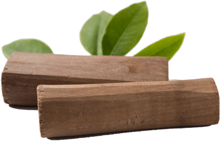 Sandalwood Logswith Green Leaves