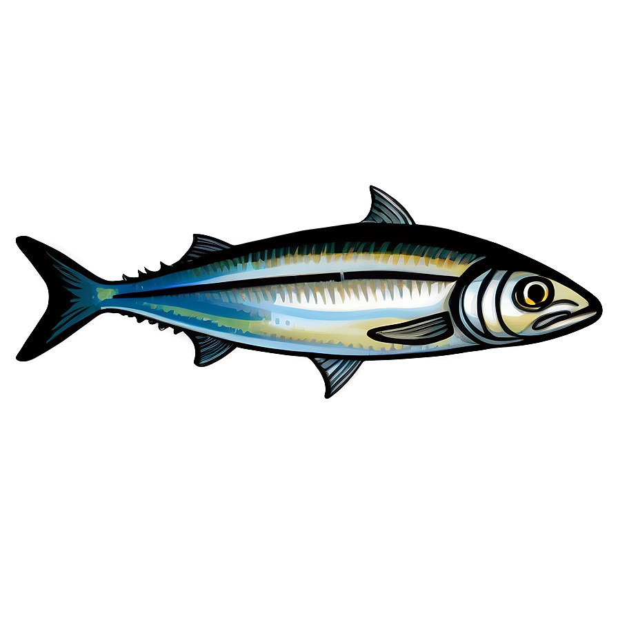 Sardine Art Png 06292024