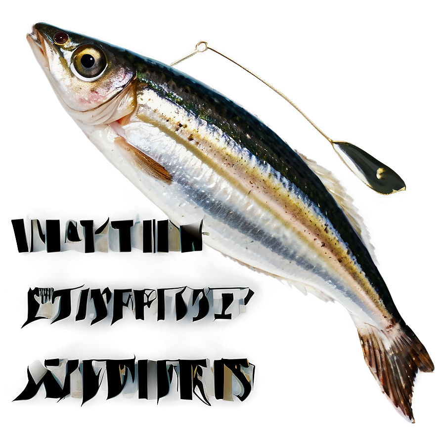 Sardine Skewers Png Ptf