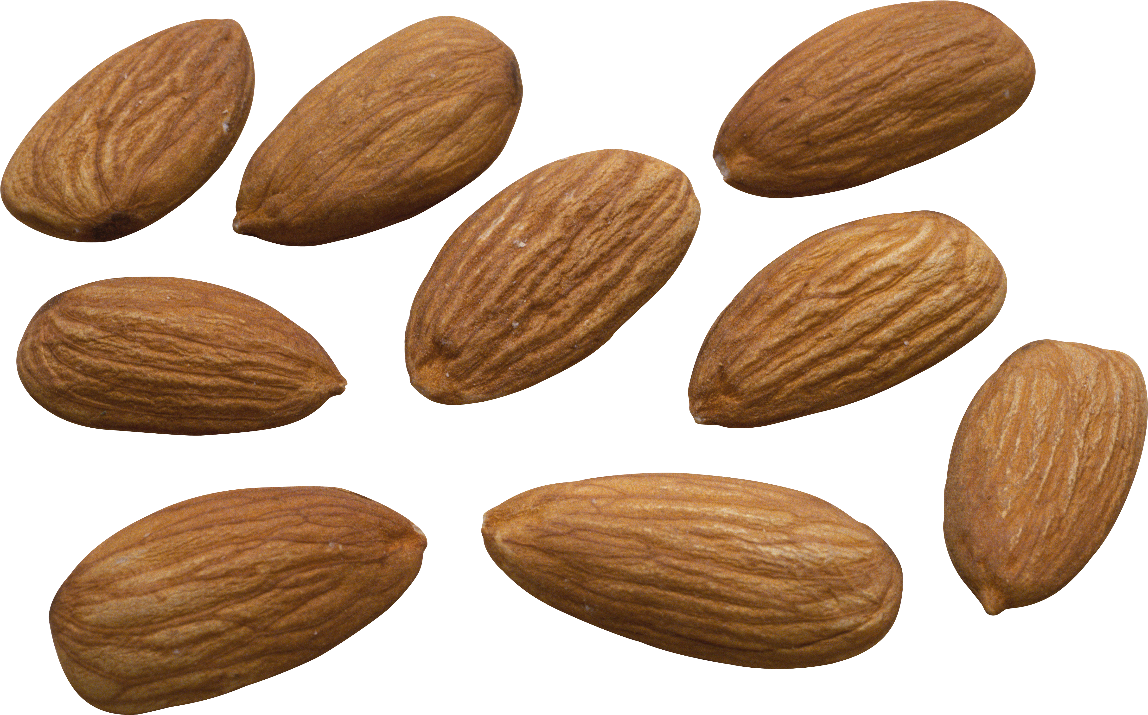 Scattered Almonds Isolated Background