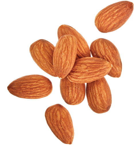 Scattered Almonds Isolated Background