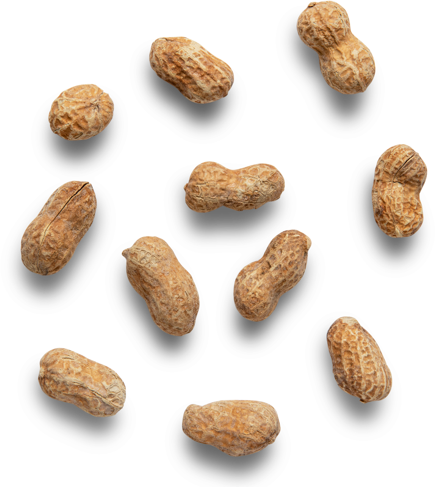 Scattered Peanutson Dark Background