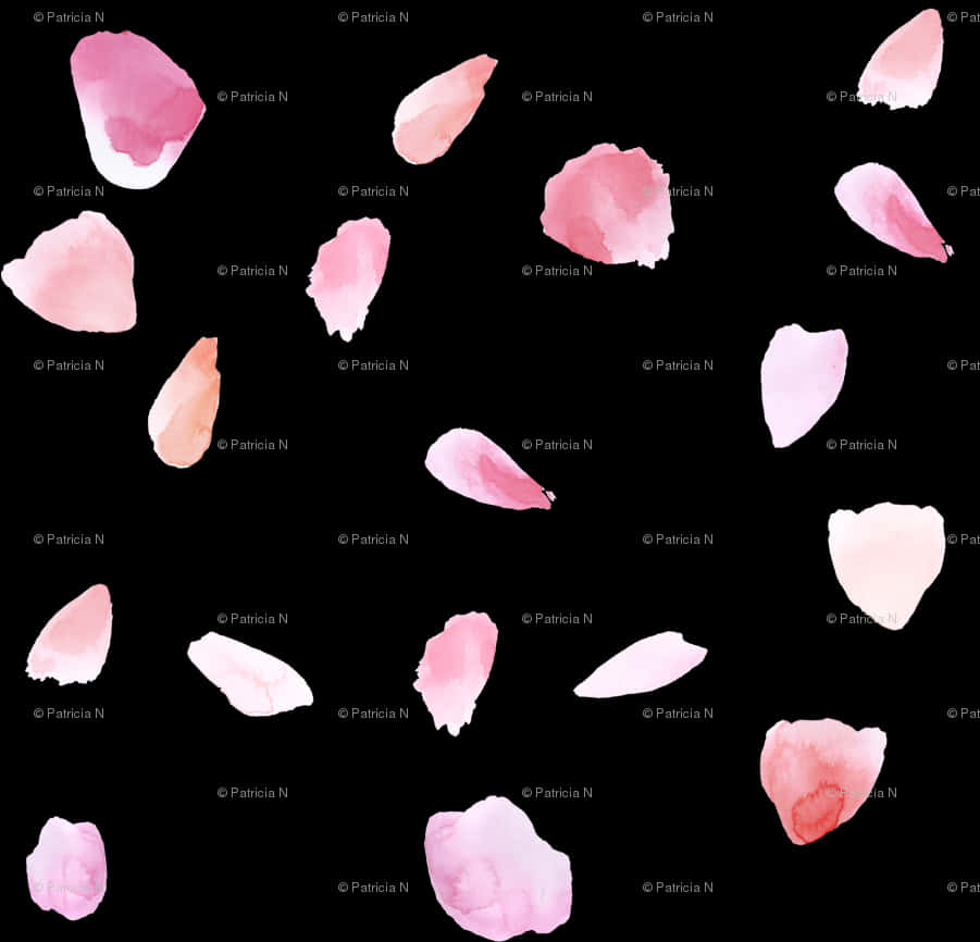 Scattered_ Rose_ Petals_ Pattern