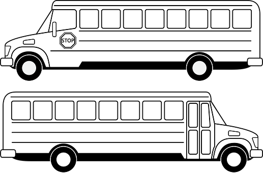 School Bus Vector Illustration