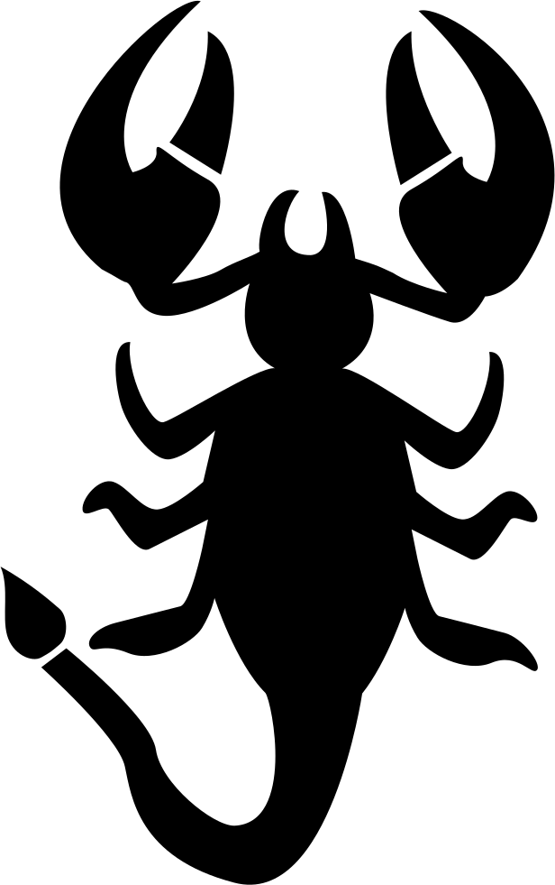 Scorpio Zodiac Silhouette