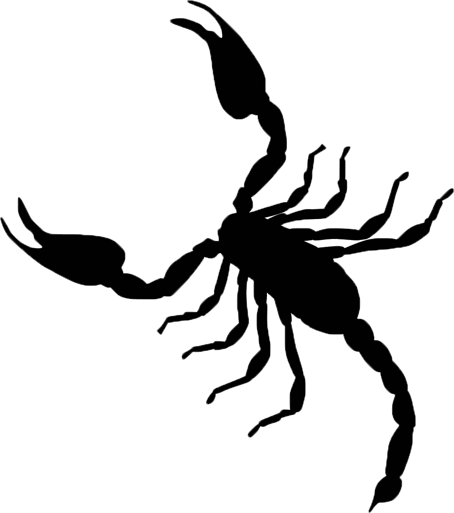 Scorpion Silhouette Graphic