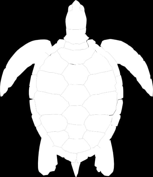 Sea Turtle Silhouette Graphic