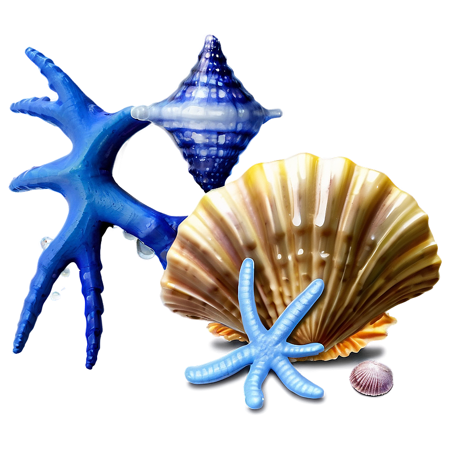 Seashell And Starfish Png Img