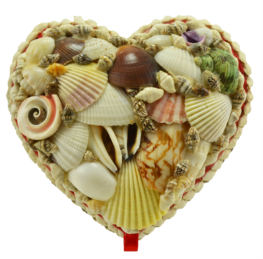 Seashell Heart Artwork