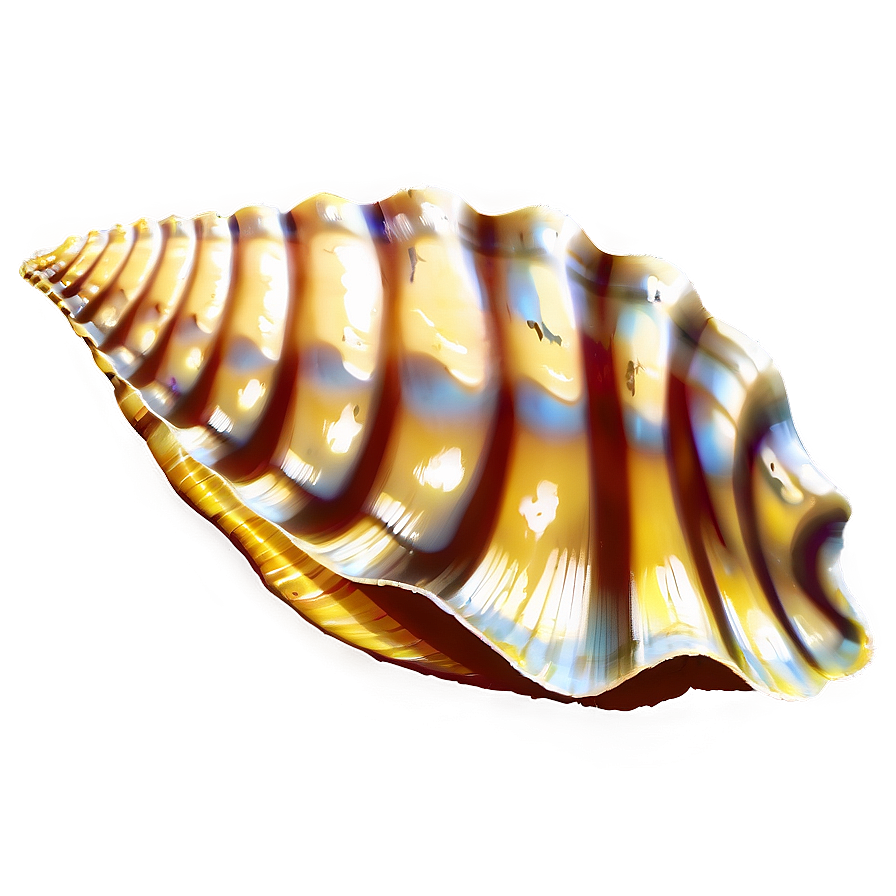 Seashell Silhouette Png Hdc95