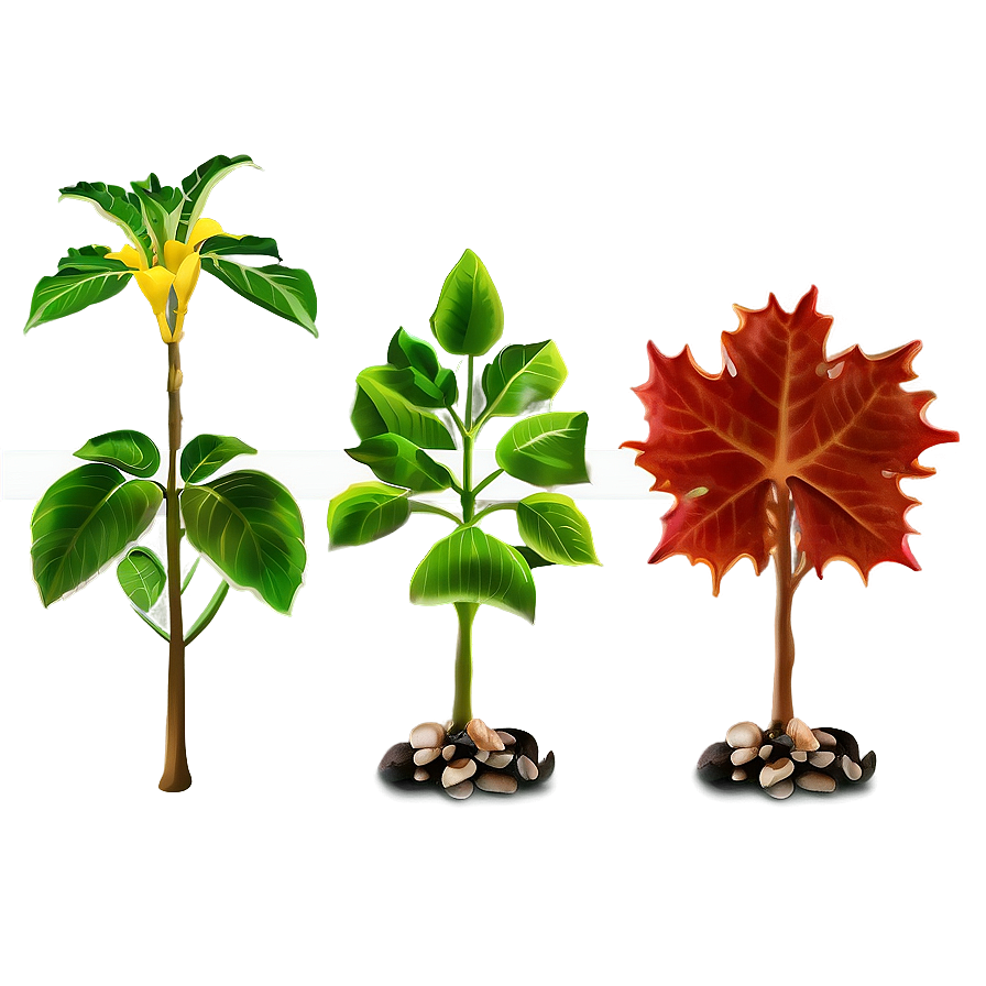 Seasonal Plants Png Oyu17