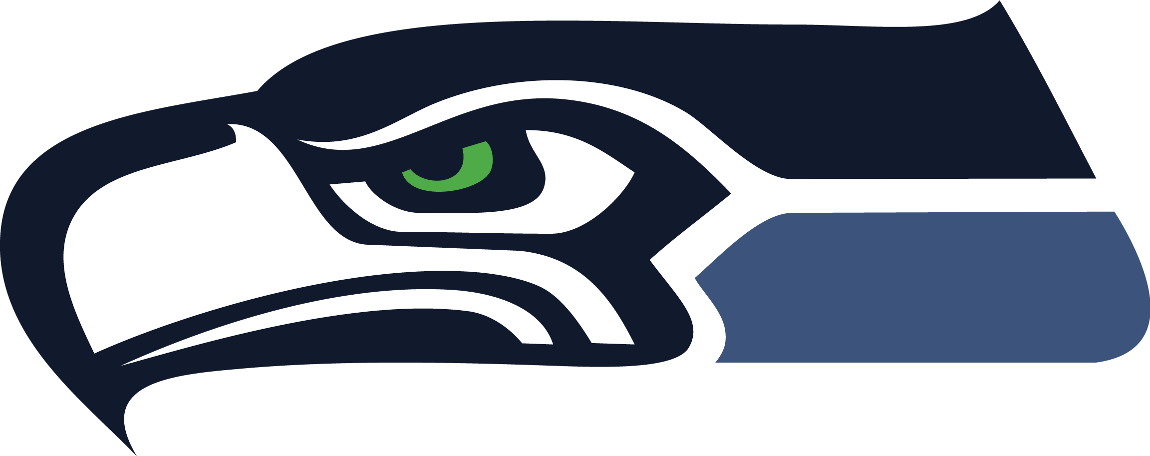 Seattle Seahawks Logo Graphic