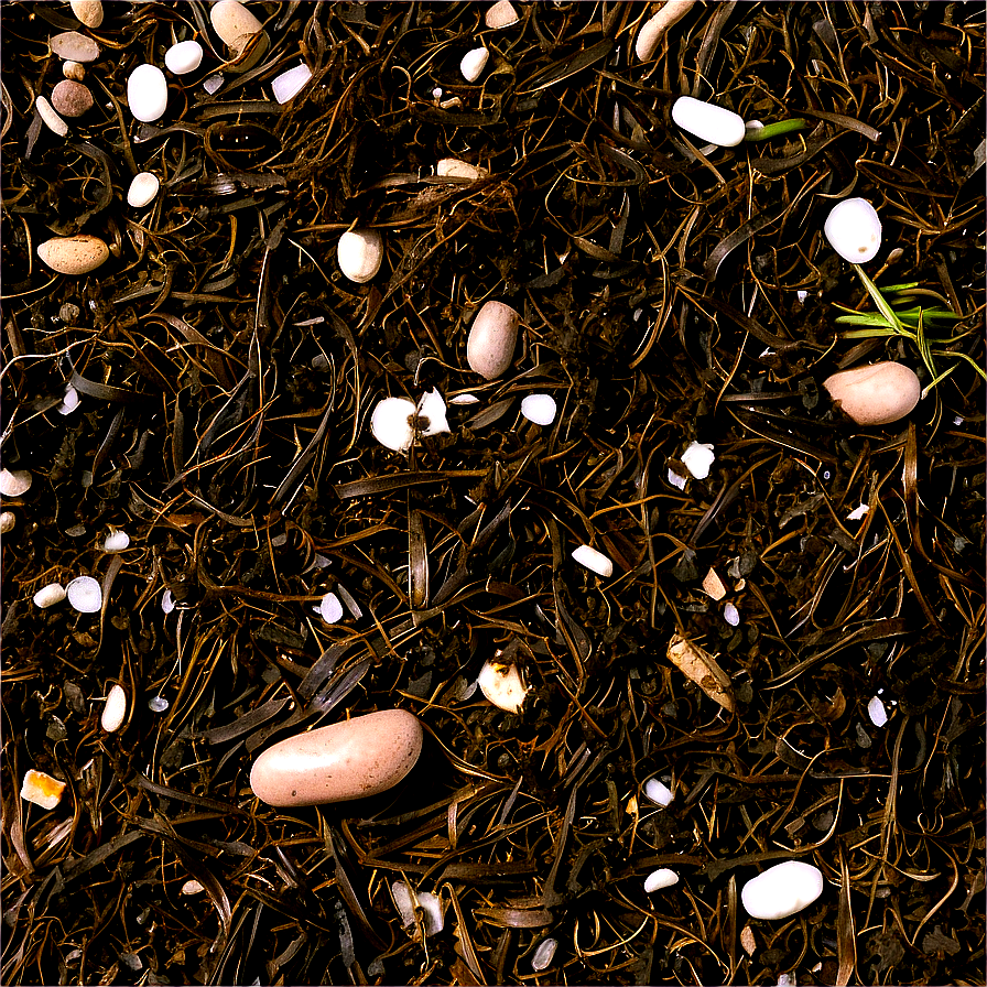 Seaweed And Salt Marsh Mulch Png 51