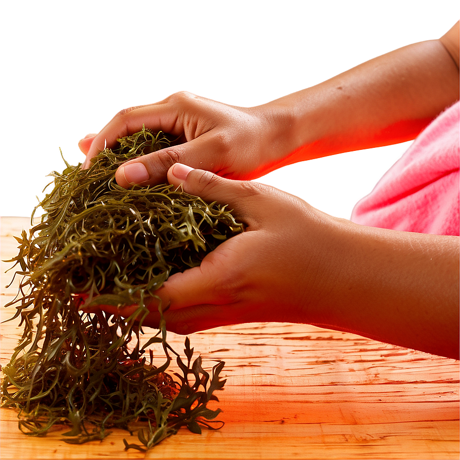 Seaweed Beauty Treatment Png Yrq46