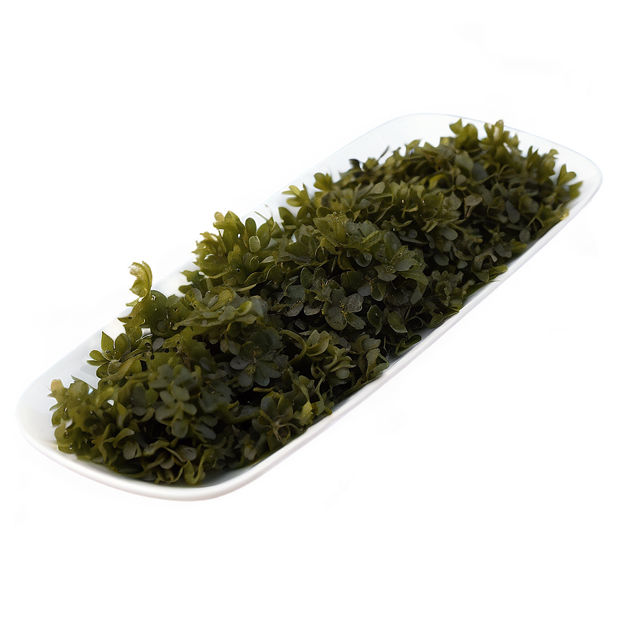 Seaweed Culinary Uses Png 05242024