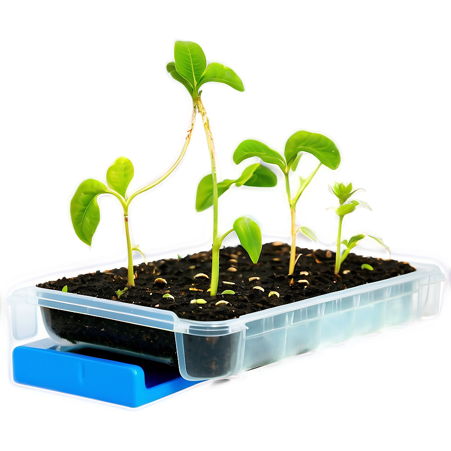 Seed Propagation Mat Png 06122024