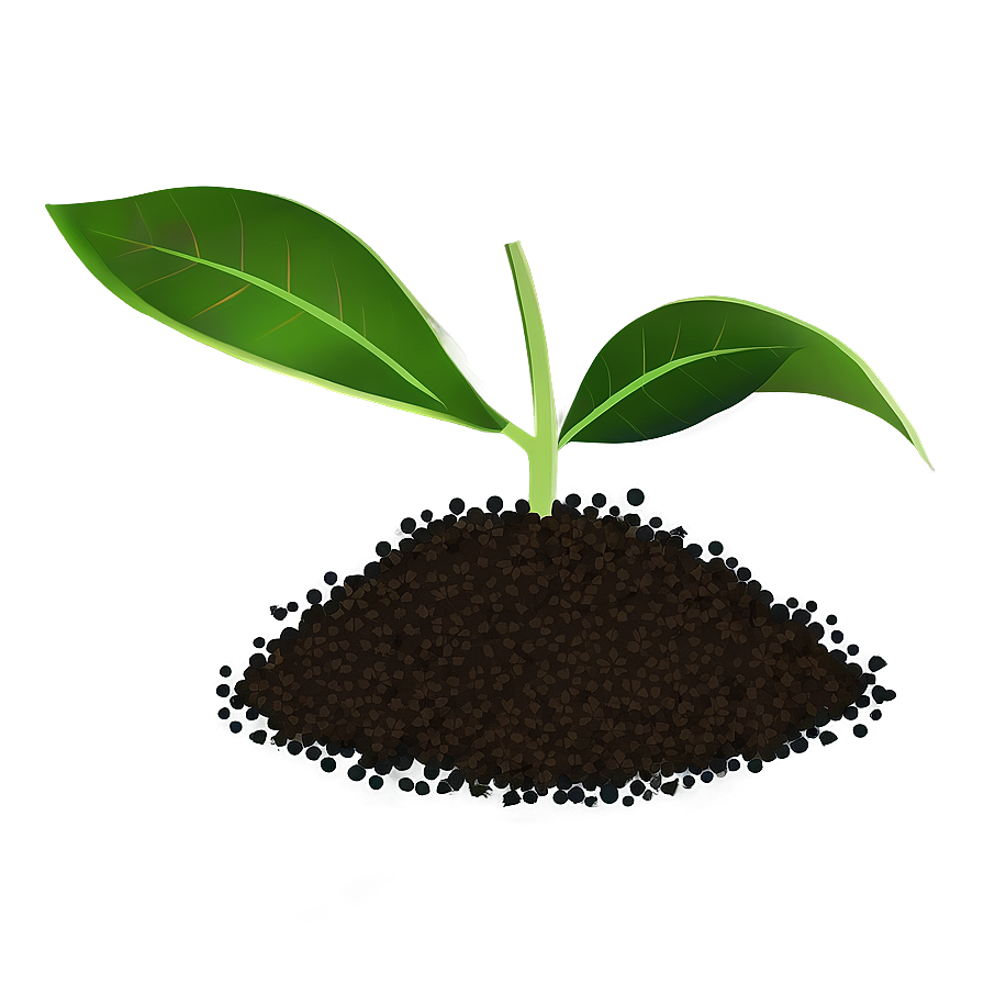 Seedling Plant Clipart Png Jmk90