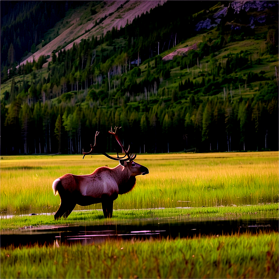 Serene Caribou At Lakeside Png 06292024