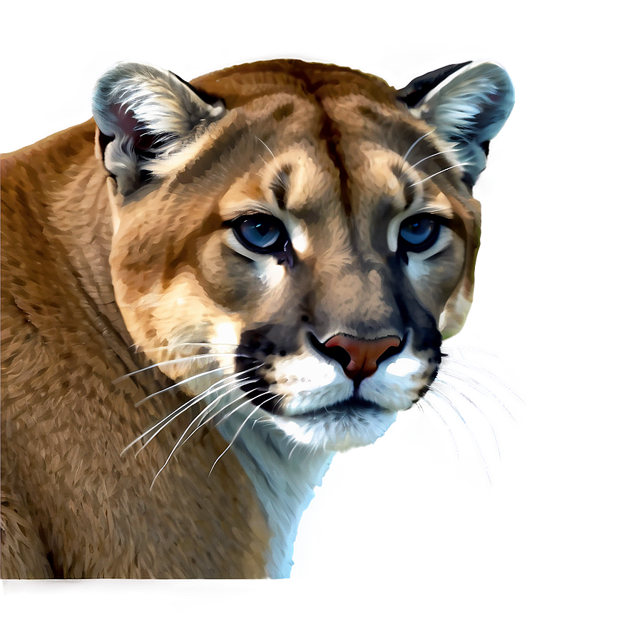 Serene Cougar Png Gmj78