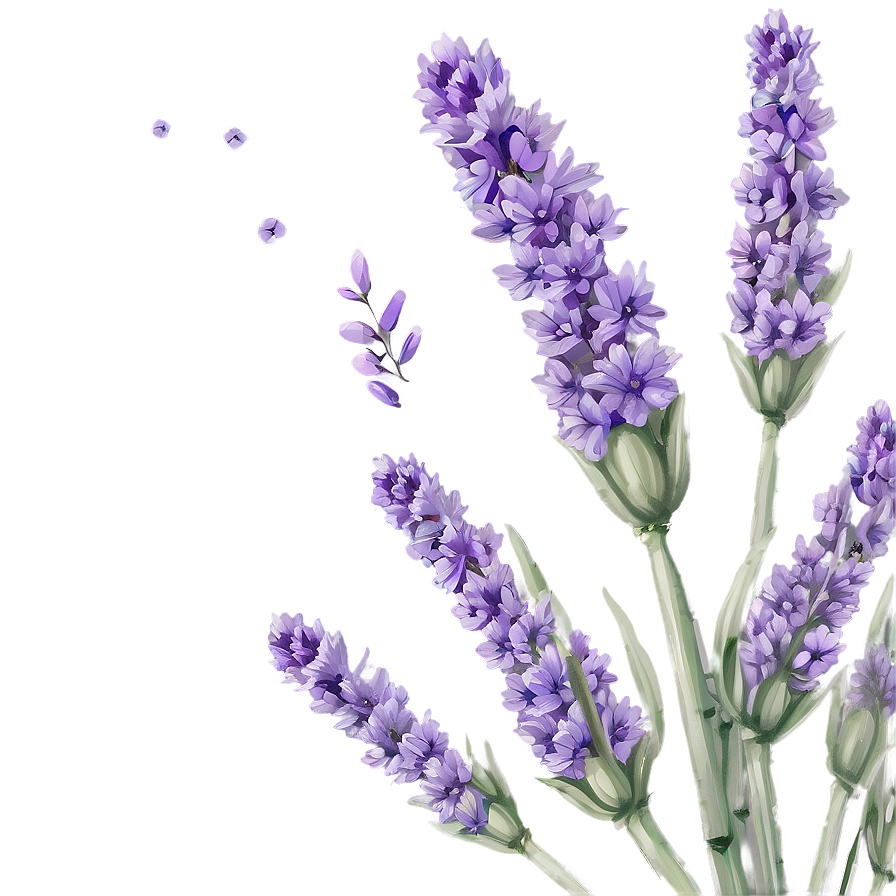 Serene Lavender Png 74