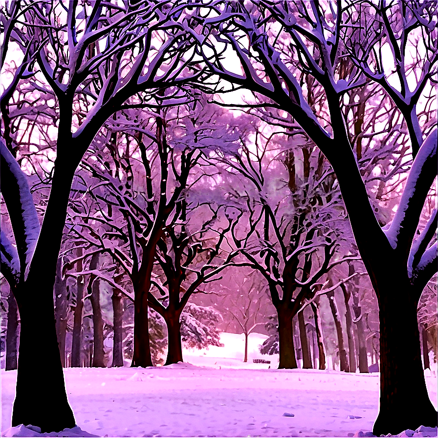 Serene Snow Trees Png 44