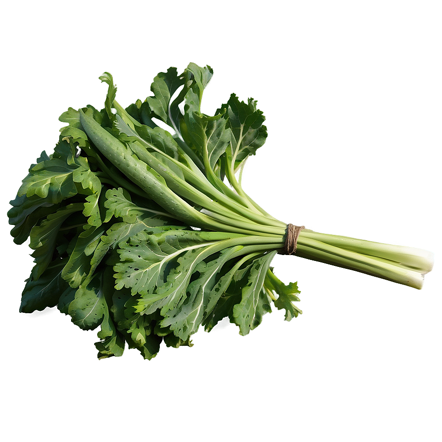 Shade-grown Vegetables Png Rga