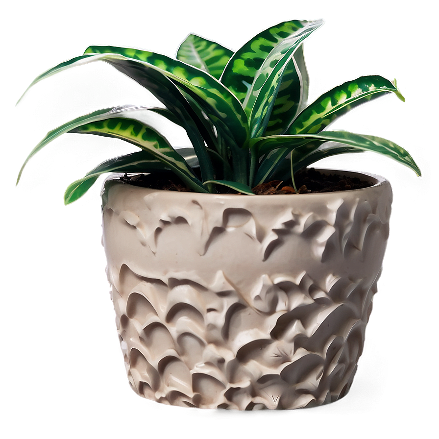 Shade Loving Houseplant Png 86