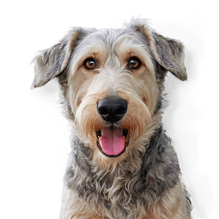 Shaggy Dog Nose Png Qpp24