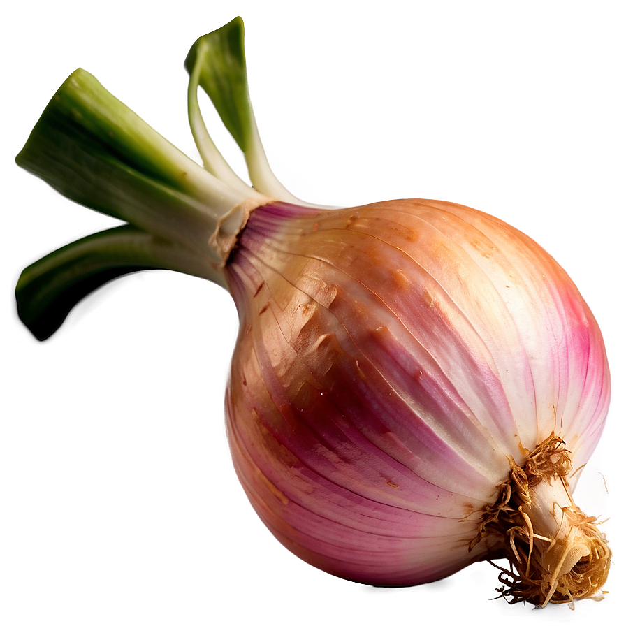 Shallots Onion Png 51