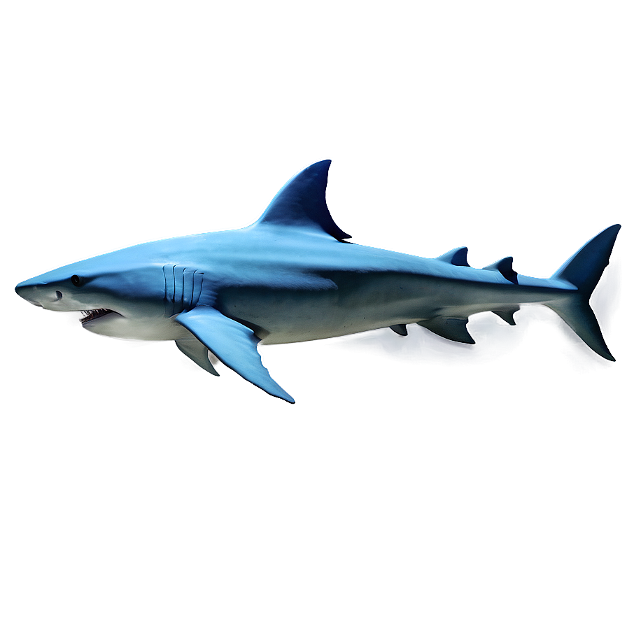 Shark Illustration Png Uux