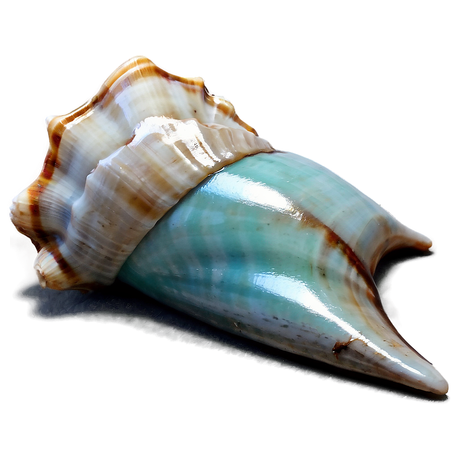 Shell In Ocean Breeze Png Kyu63