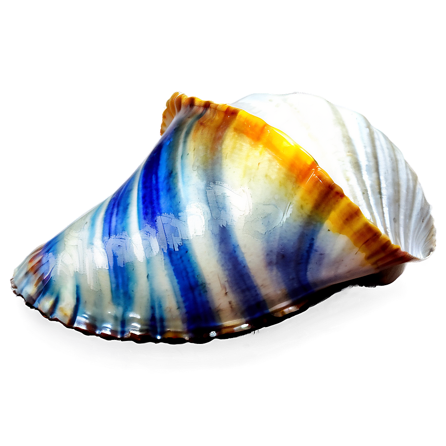 Shell Watercolor Png Ram96