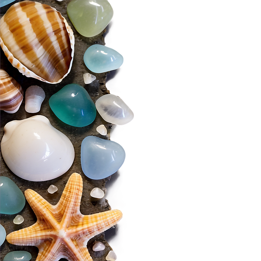 Shells And Seaglass Png Uju