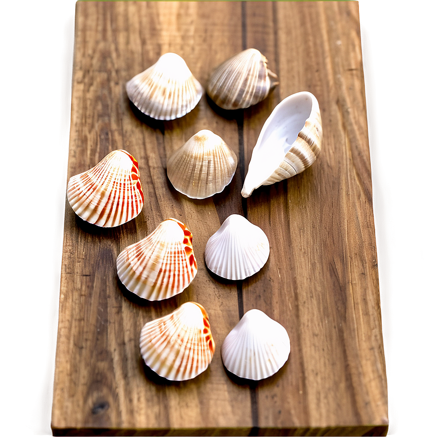 Shells On Wooden Surface Png Nfj