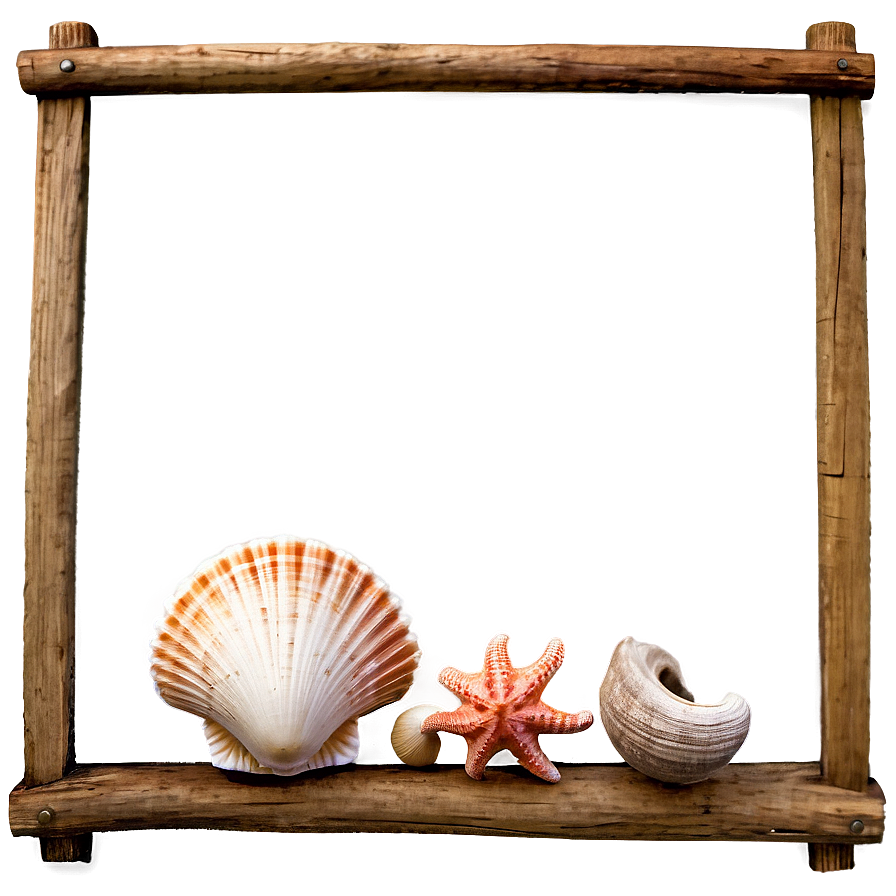 Shells With Driftwood Png 06212024