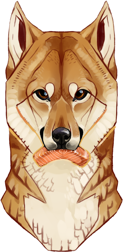 Shiba Inu Illustration