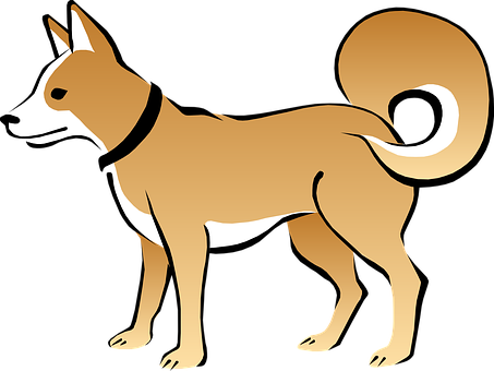 Shiba Inu Illustration