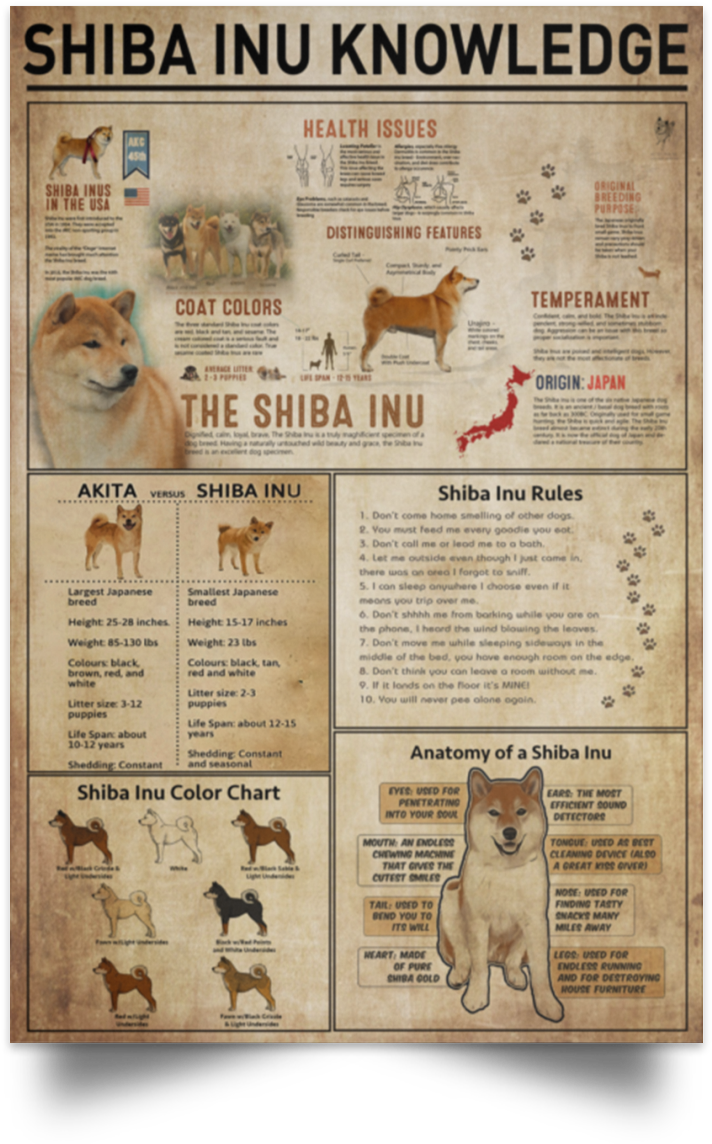 Shiba Inu Infographic Poster