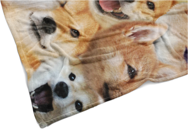 Shiba Inu Printed Blanket