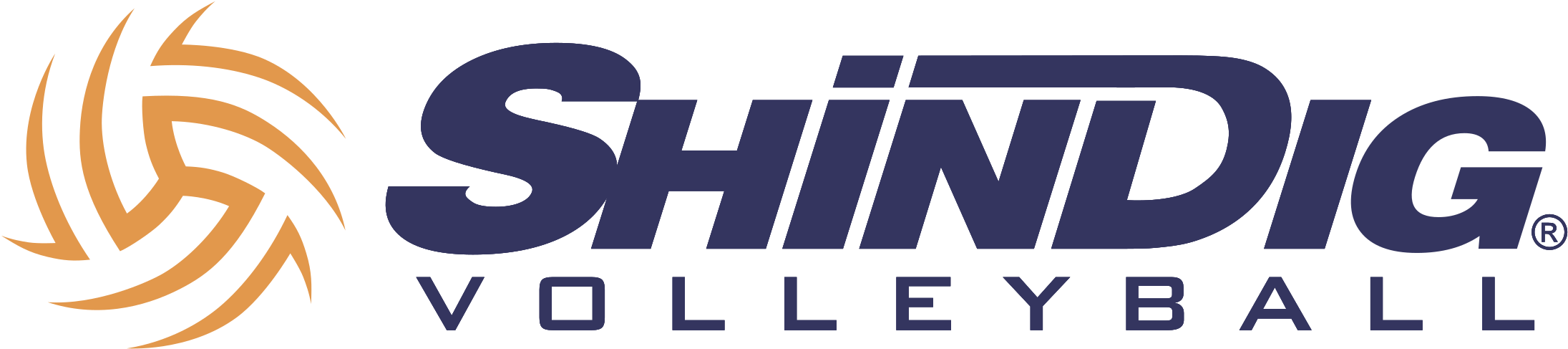 Shindig Volleyball Logo