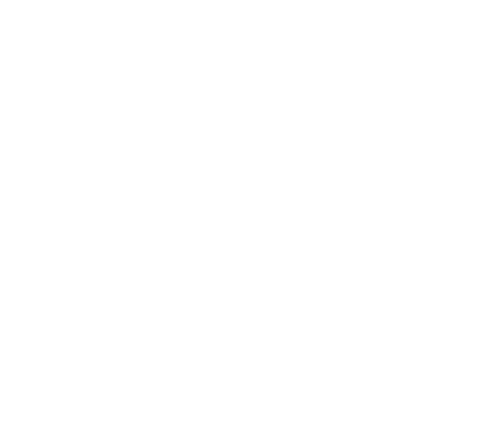 Shiny Clean Car Icon