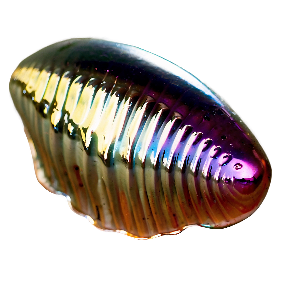 Shiny Pearlescent Shells Png 06212024