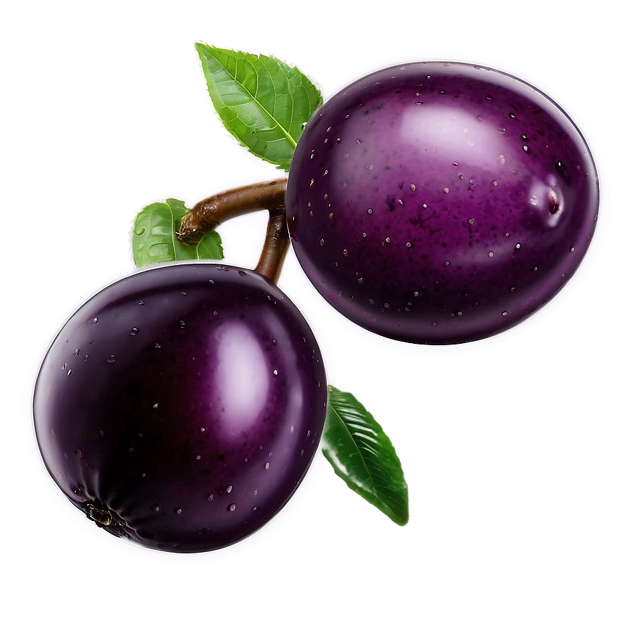 Shiny Plum Png 52